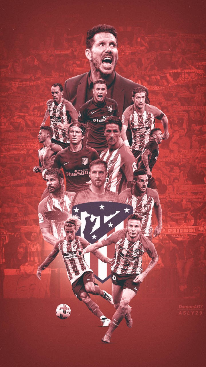 三个月验证 三个月验证