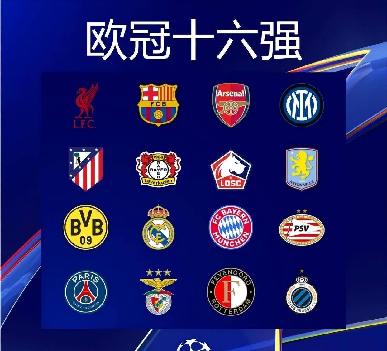 项并非盲目 项并非盲目